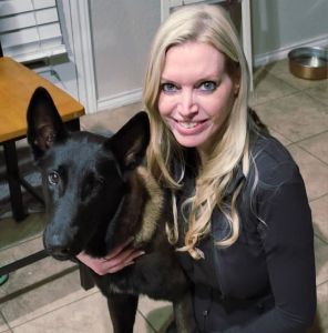 A regal Great Dane standing on a sunlit lawn, showcasing its elegance.